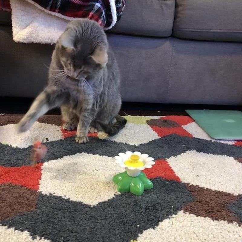 Brinquedo interativo de pássaro voador para gatos