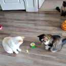 Brinquedo interativo de pássaro voador para gatos