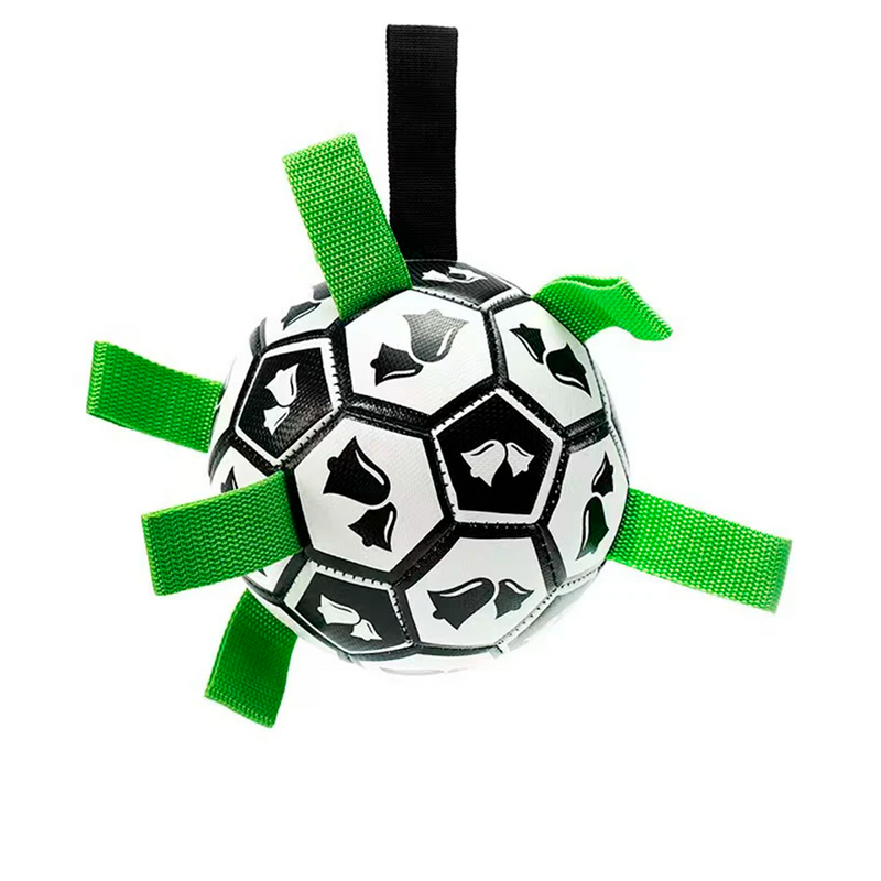 Bola Inteligente para Jogos de Cães